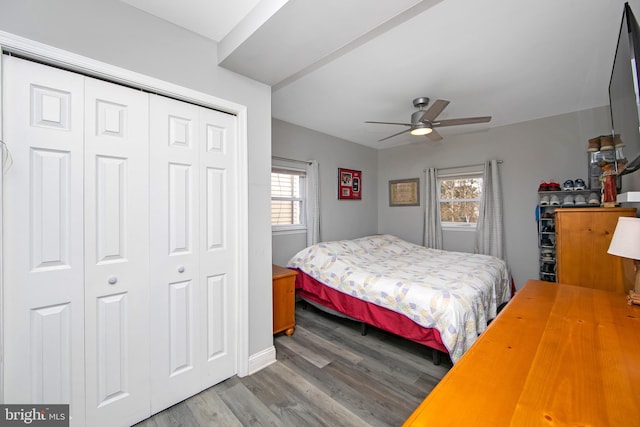 bedroom with a ceiling fan, a closet, and wood finished floors