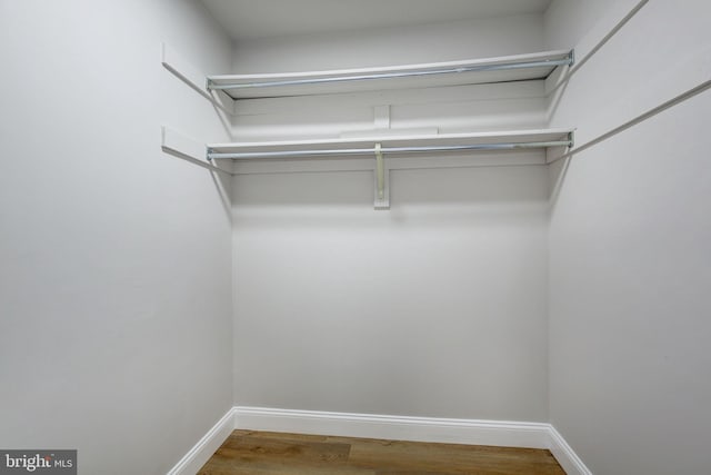 walk in closet featuring wood finished floors