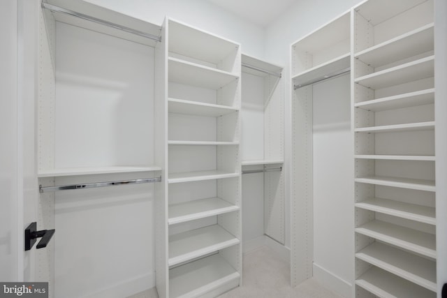 view of walk in closet