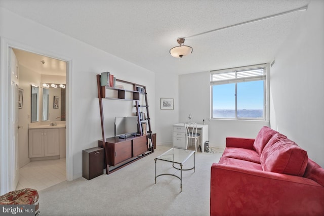 living room with carpet and a textured ceiling