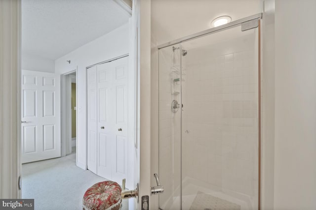 bathroom with a stall shower