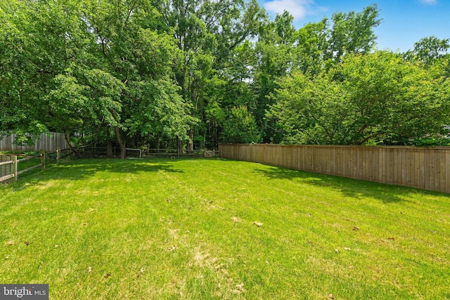 view of yard with a fenced backyard