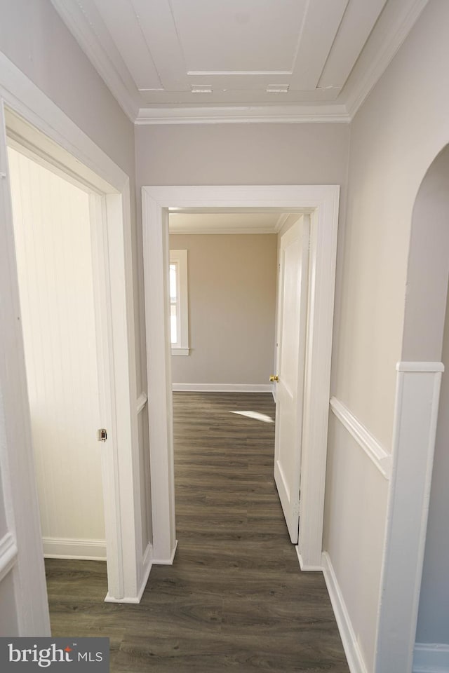 hall featuring dark hardwood / wood-style flooring and crown molding