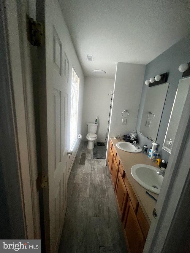 bathroom featuring vanity, hardwood / wood-style flooring, and toilet