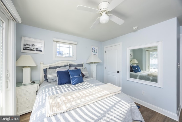 bedroom featuring multiple windows, dark hardwood / wood-style flooring, and ceiling fan