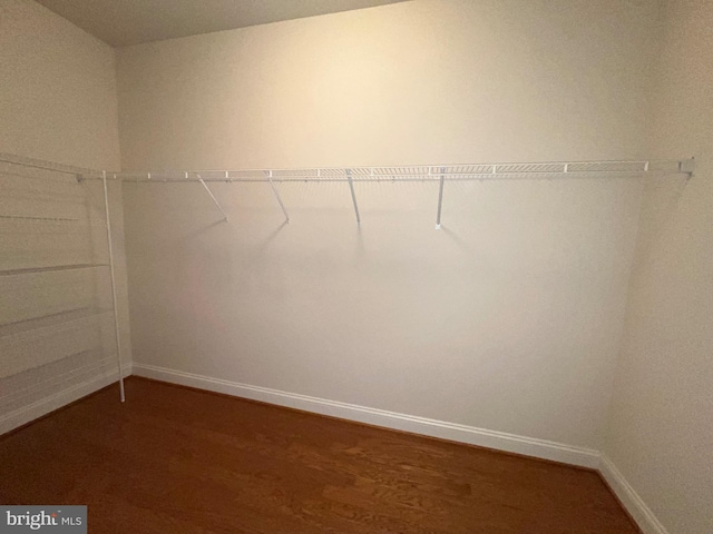 spacious closet with wood finished floors