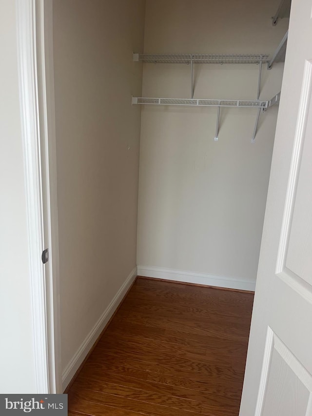 view of closet