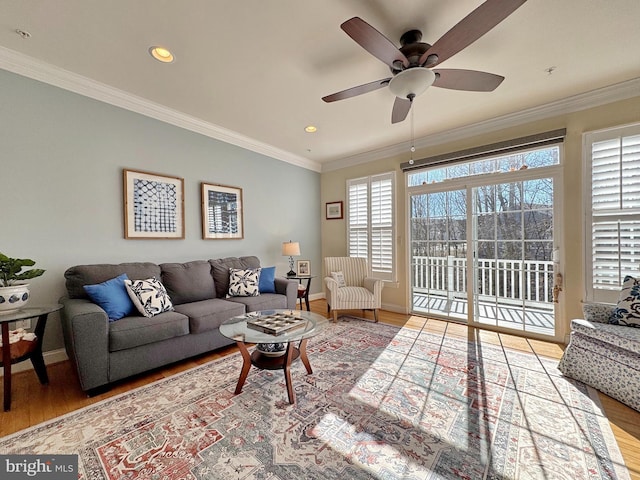 living room featuring a ceiling fan, crown molding, and wood finished floors