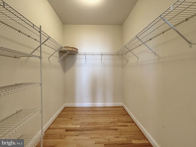 walk in closet featuring wood finished floors