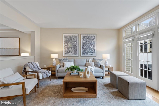 living area featuring wood finished floors