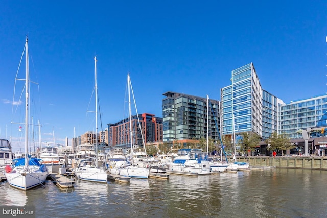 view of dock featuring a water view