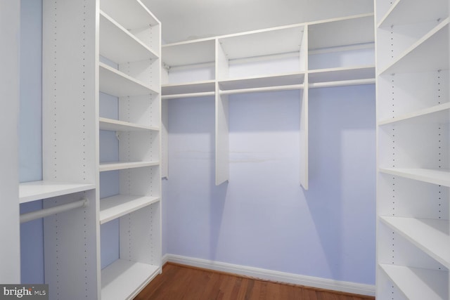 spacious closet with wood finished floors