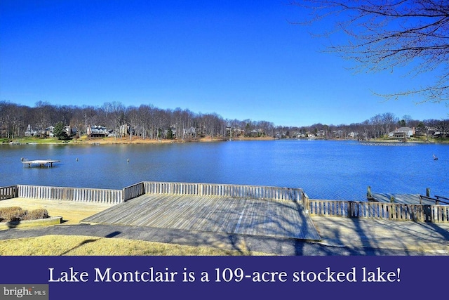 dock area featuring a water view