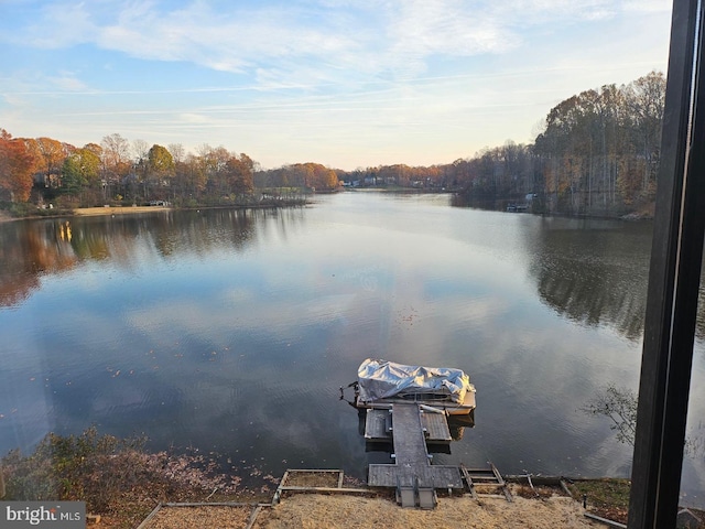 water view featuring a boat dock