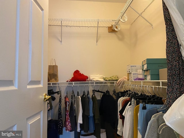 view of walk in closet