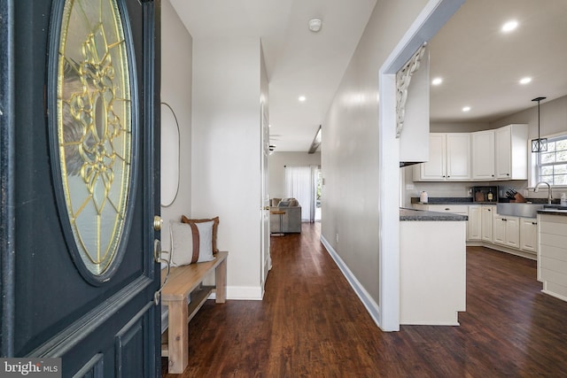 foyer entrance with sink and dark wood-type flooring