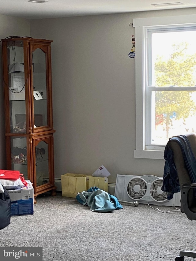 recreation room featuring carpet floors