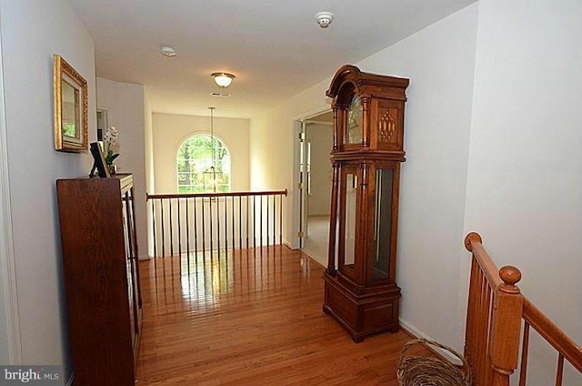 hallway featuring wood-type flooring