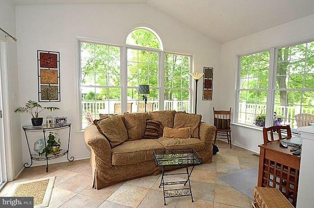 living room featuring vaulted ceiling