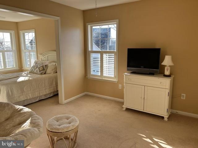 view of carpeted bedroom