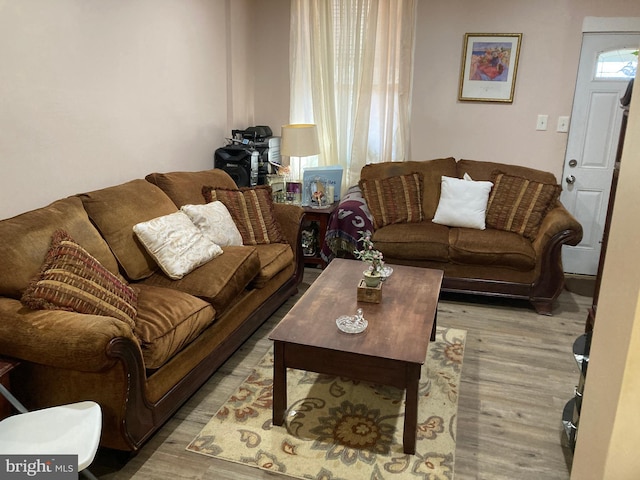 living room with light hardwood / wood-style floors