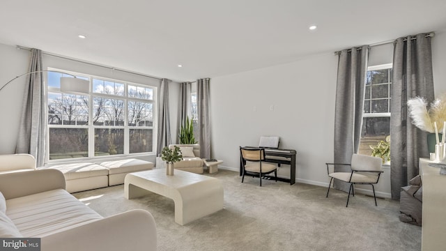 living room with light carpet