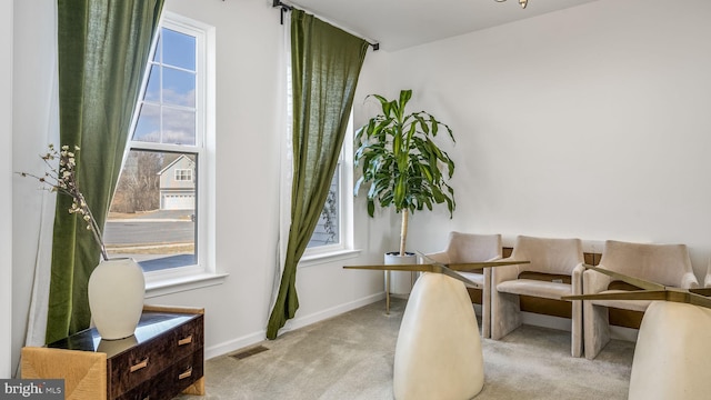 living area featuring light colored carpet and a healthy amount of sunlight