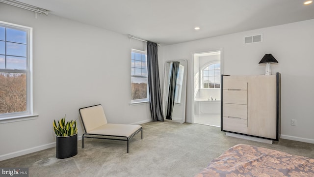 sitting room featuring light carpet