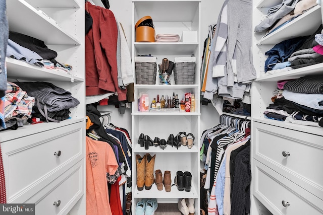 view of walk in closet