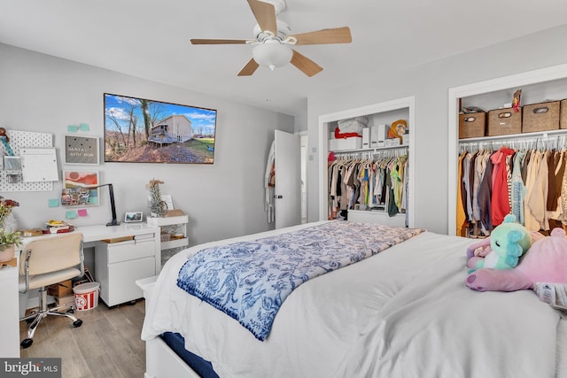 bedroom with ceiling fan, multiple closets, light wood finished floors, and built in desk