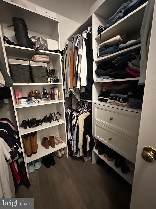 spacious closet featuring wood finished floors