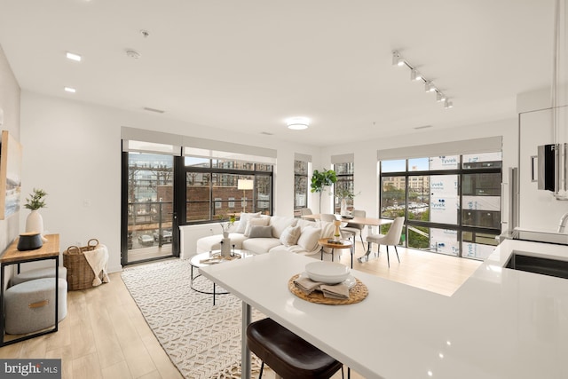 living room featuring sink, track lighting, and light hardwood / wood-style flooring