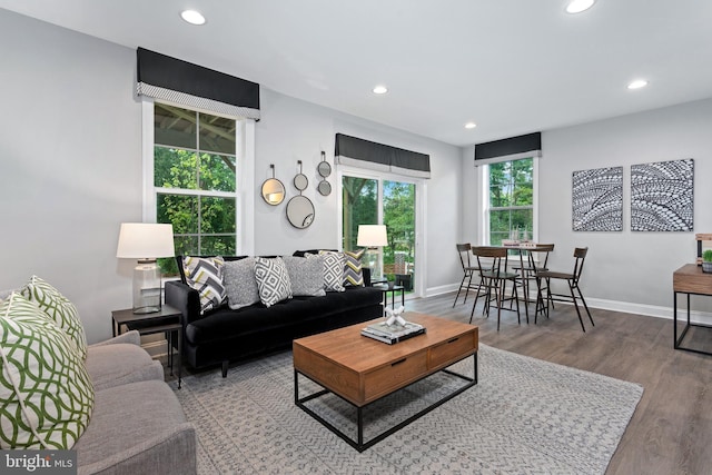 living room with hardwood / wood-style flooring