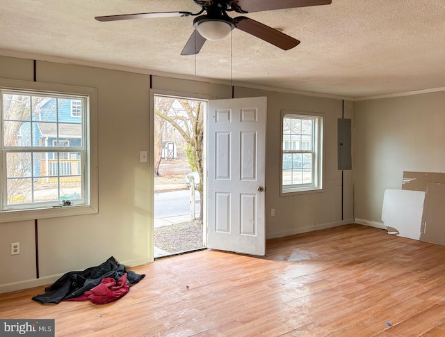 foyer entrance featuring a textured ceiling, light wood-style flooring, electric panel, and a wealth of natural light