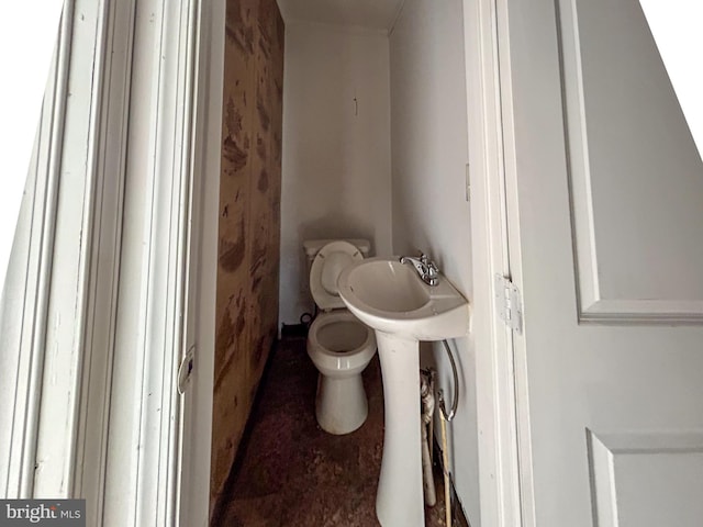 bathroom with a sink and toilet