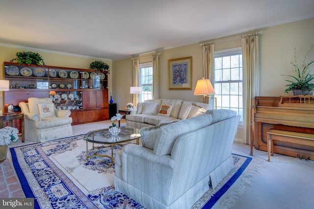 living area featuring plenty of natural light and crown molding