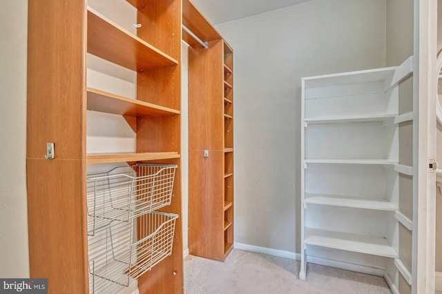 5340 Holmes Run Pkwy Unit 101, Alexandria, VA 22304 - view of spacious closet