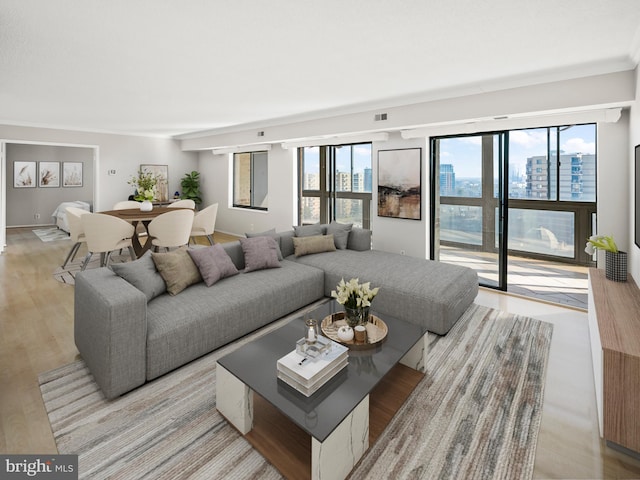 living room with light wood-style floors