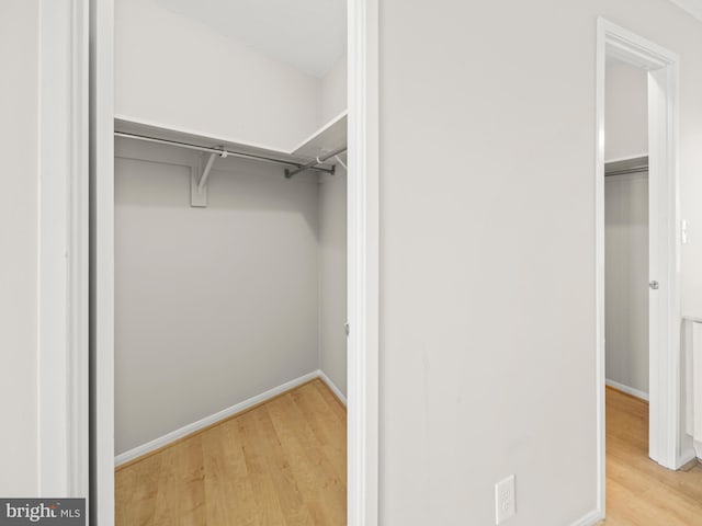 spacious closet featuring wood finished floors