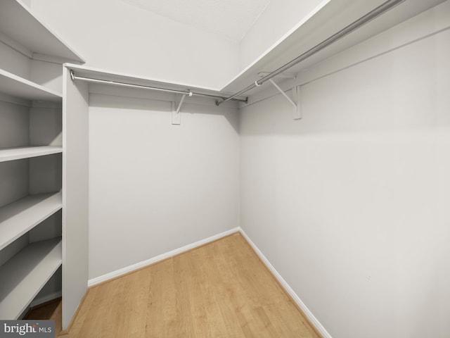 walk in closet with wood finished floors