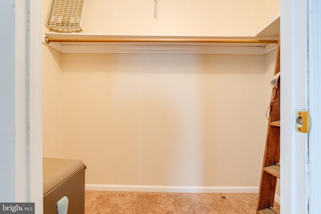 spacious closet featuring light colored carpet