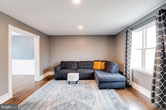 living room with hardwood / wood-style flooring and plenty of natural light