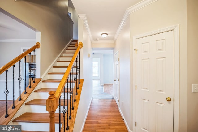 stairs with hardwood / wood-style flooring and crown molding