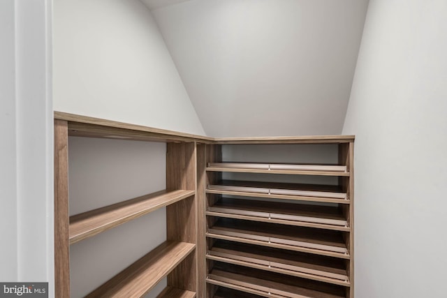 spacious closet with vaulted ceiling