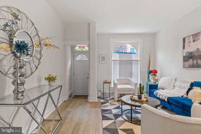 living room featuring light hardwood / wood-style floors