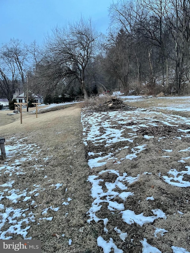 view of snowy yard