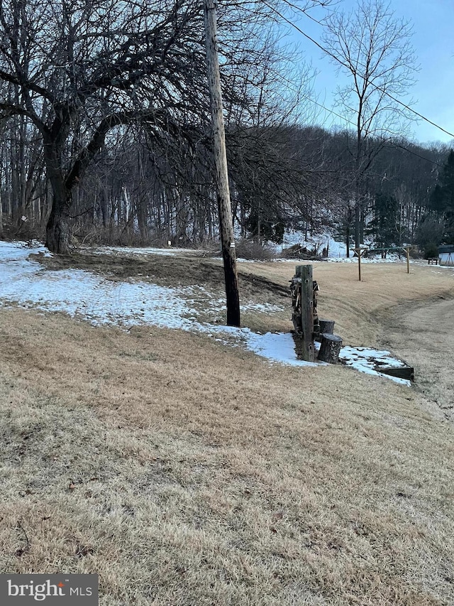 view of snowy yard