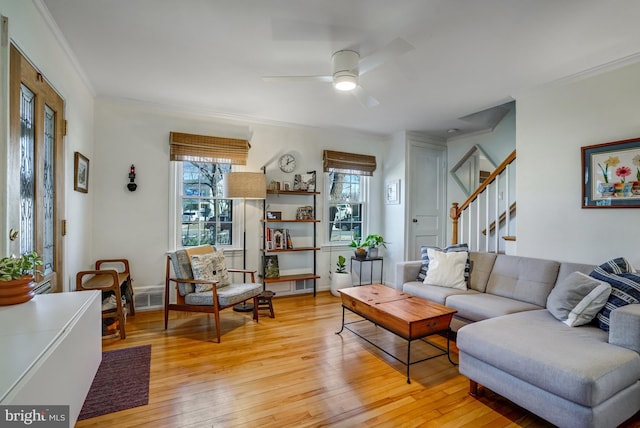 living area with light wood finished floors, visible vents, ceiling fan, stairway, and ornamental molding