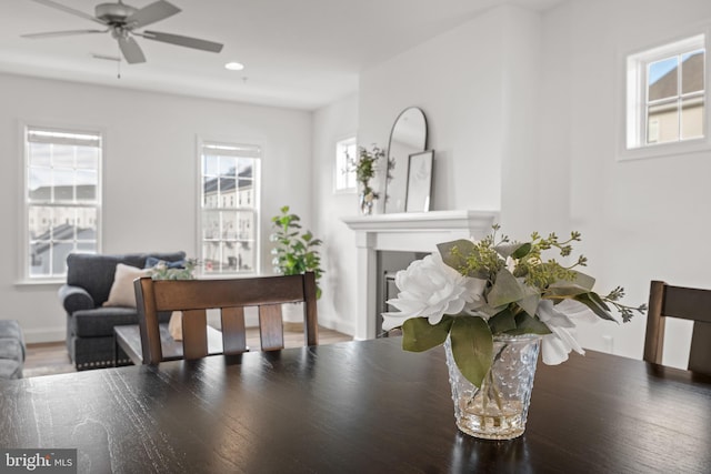 dining room with hardwood / wood-style flooring and ceiling fan