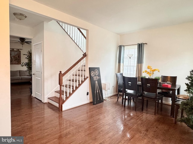 dining space featuring dark hardwood / wood-style flooring